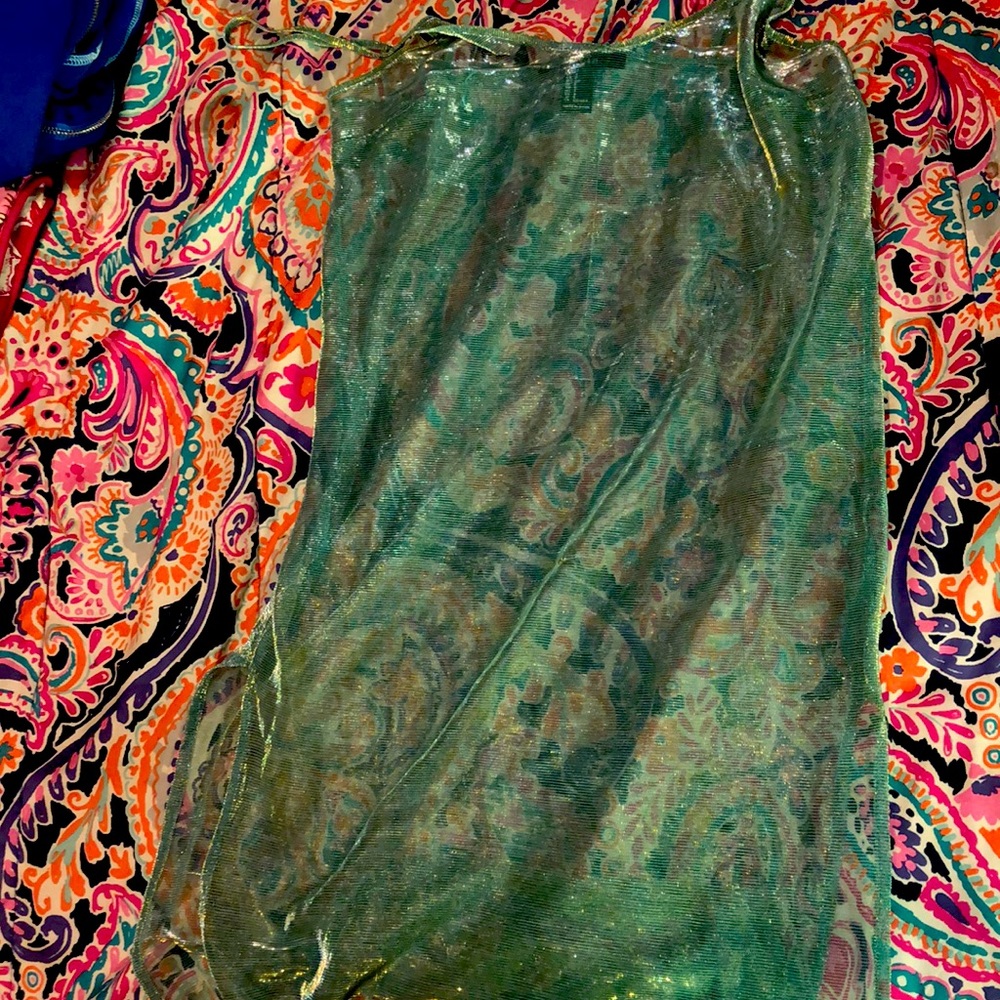 Sheer Bathing Suit Cover Up